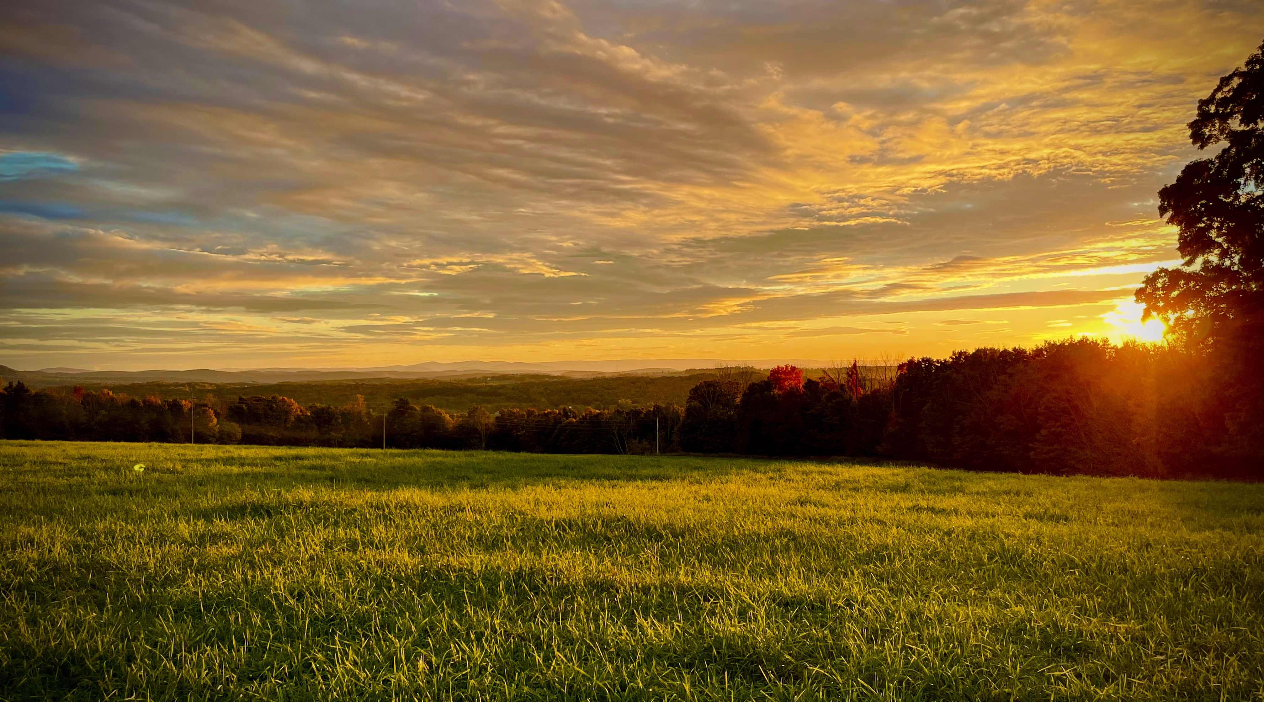 Food Plots